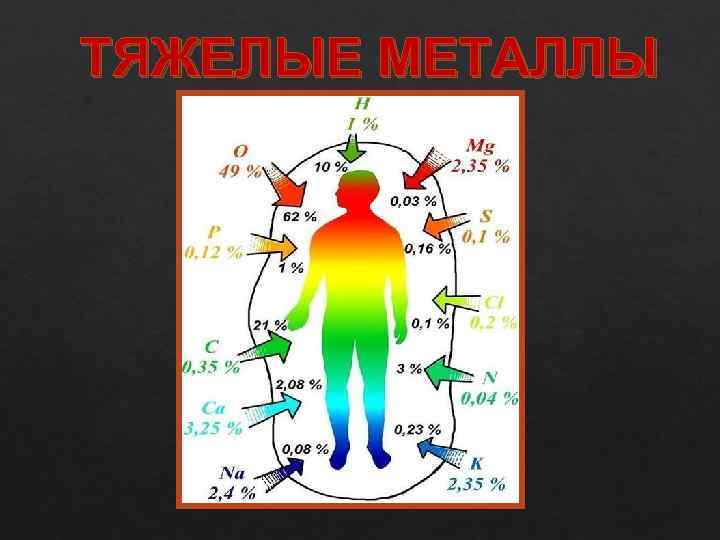 ТЯЖЕЛЫЕ МЕТАЛЛЫ 