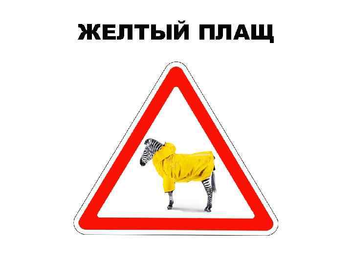 ЖЕЛТЫЙ ПЛАЩ 