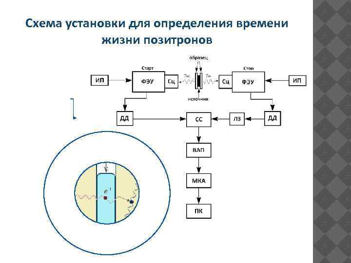 Схема установки для определения времени жизни позитронов 