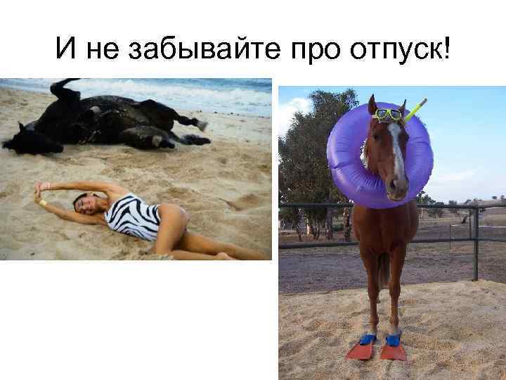 И не забывайте про отпуск! 