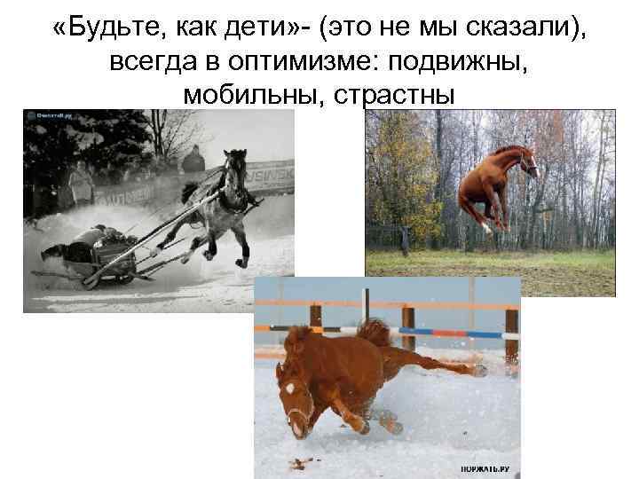  «Будьте, как дети» - (это не мы сказали), всегда в оптимизме: подвижны, мобильны,