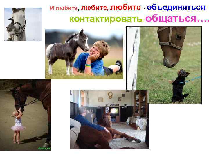 И любите, любите - объединяться, контактировать, общаться…. 