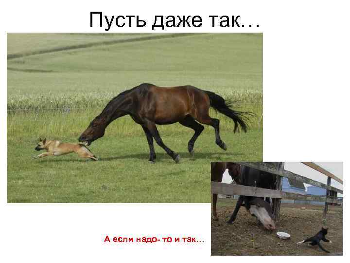 Пусть даже так… А если надо- то и так… 