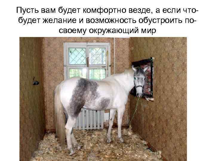 Пусть вам будет комфортно везде, а если чтобудет желание и возможность обустроить посвоему окружающий