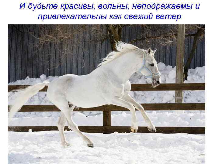 И будьте красивы, вольны, неподражаемы и привлекательны как свежий ветер 
