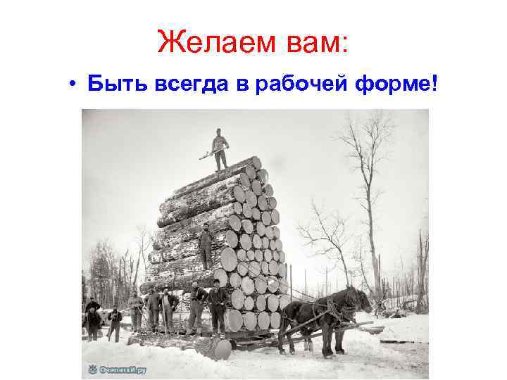 Желаем вам: • Быть всегда в рабочей форме! 