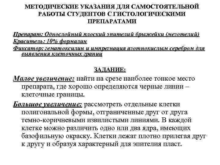 МЕТОДИЧЕСКИЕ УКАЗАНИЯ ДЛЯ САМОСТОЯТЕЛЬНОЙ РАБОТЫ СТУДЕНТОВ С ГИСТОЛОГИЧЕСКИМИ ПРЕПАРАТАМИ Препарат: Однослойный плоский эпителий брыжейки