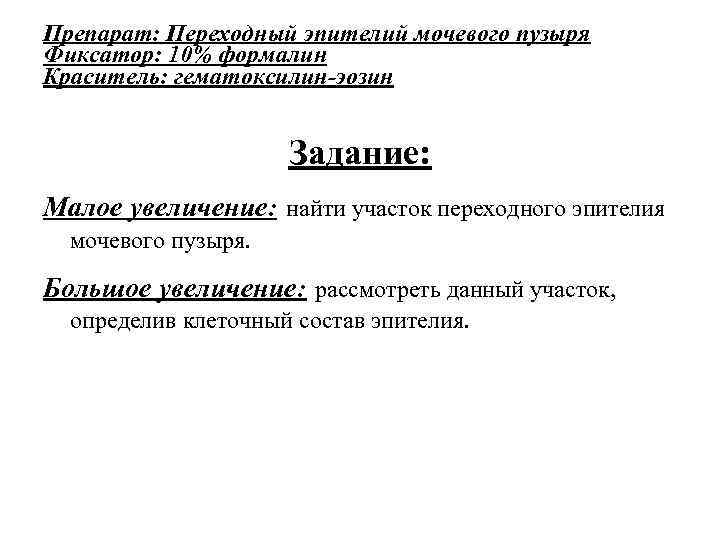 Препарат: Переходный эпителий мочевого пузыря Фиксатор: 10% формалин Краситель: гематоксилин-эозин Задание: Малое увеличение: найти