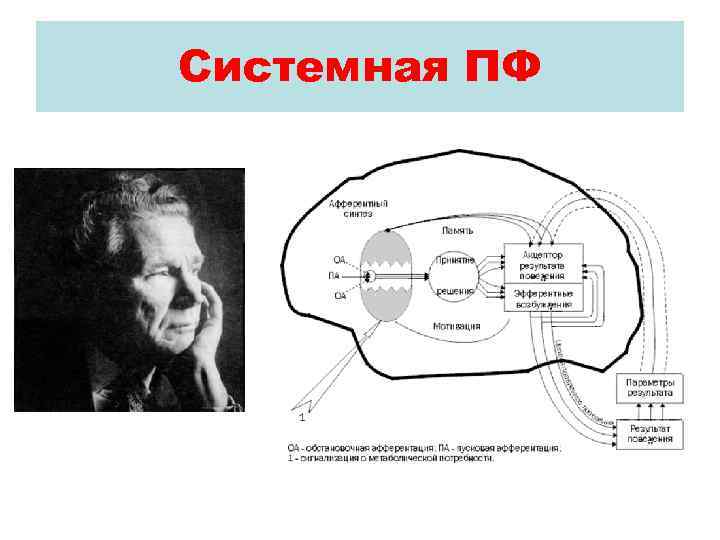 Системная ПФ 