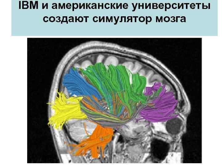 IBM и американские университеты создают симулятор мозга 