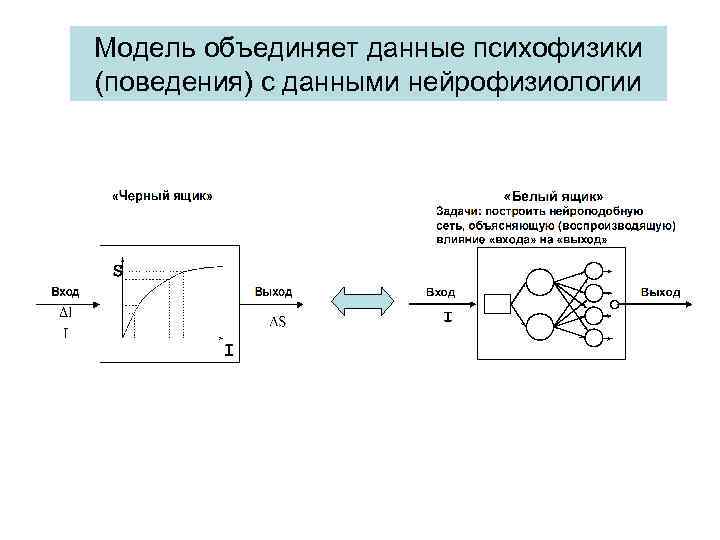 Модель объединяет данные психофизики (поведения) с данными нейрофизиологии 