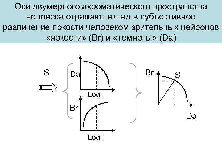 Оси двумерного ахроматического пространства человека отражают вклад в субъективное различение яркости человеком зрительных нейронов