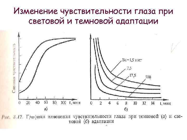 Изменение чувствительности глаза при световой и темновой адаптации 