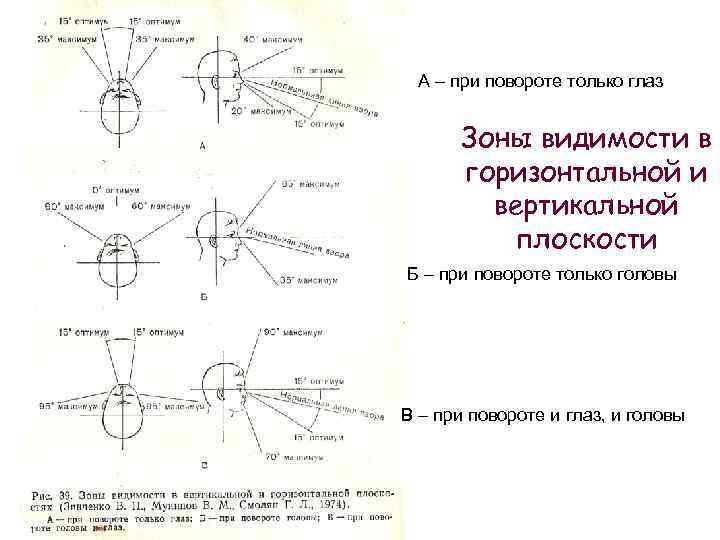 А – при повороте только глаз Зоны видимости в горизонтальной и вертикальной плоскости Б