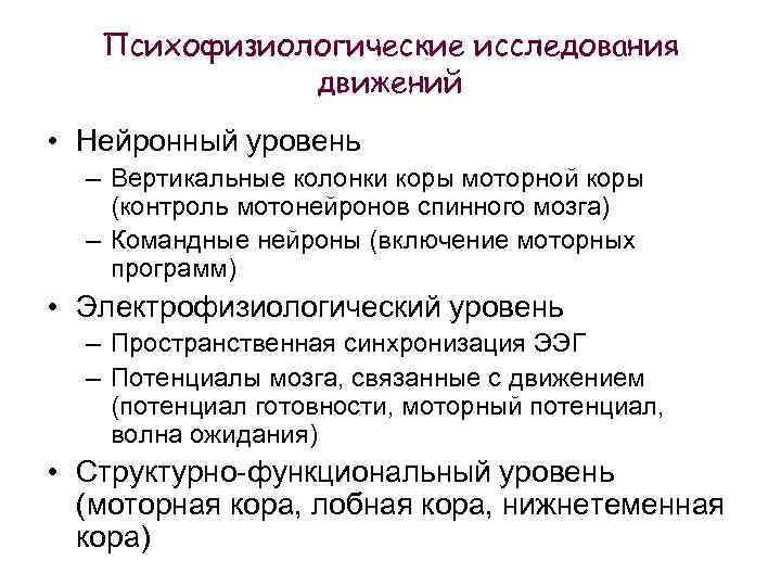 Психофизиологические исследования движений • Нейронный уровень – Вертикальные колонки коры моторной коры (контроль мотонейронов