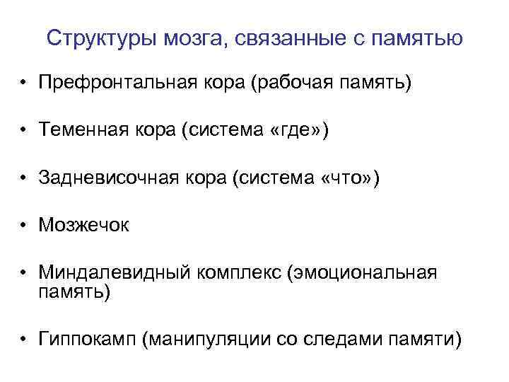 Структуры мозга, связанные с памятью • Префронтальная кора (рабочая память) • Теменная кора (система