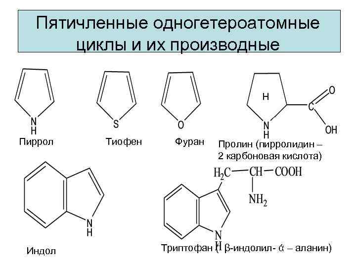 Пятичленные одногетероатомные циклы и их производные Н Пиррол Индол Тиофен Фуран Пролин (пирролидин –