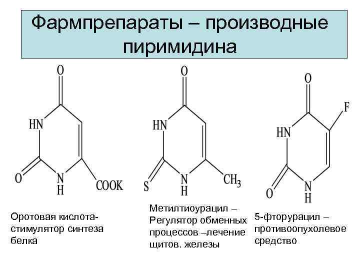 Фармпрепараты – производные пиримидина Оротовая кислотастимулятор синтеза белка Метилтиоурацил – Регулятор обменных 5 -фторурацил
