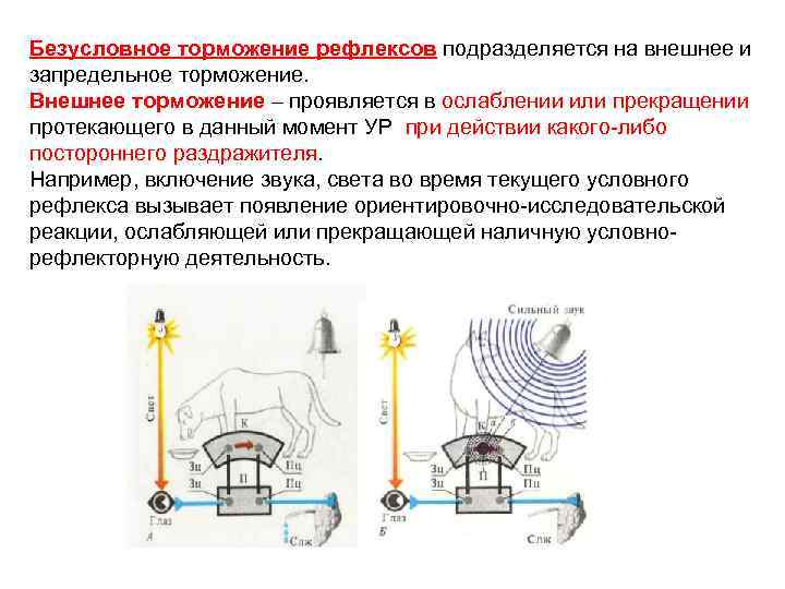 Безусловное торможение это