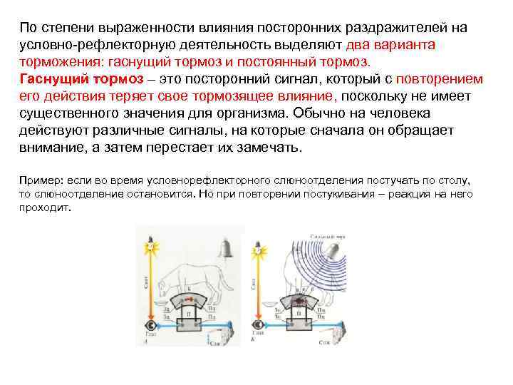 По степени выраженности влияния посторонних раздражителей на условно-рефлекторную деятельность выделяют два варианта торможения: гаснущий