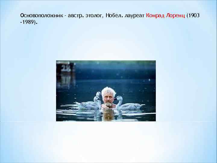Основоположник – австр. этолог, Нобел. лауреат Конрад Лоренц (1903 -1989). 