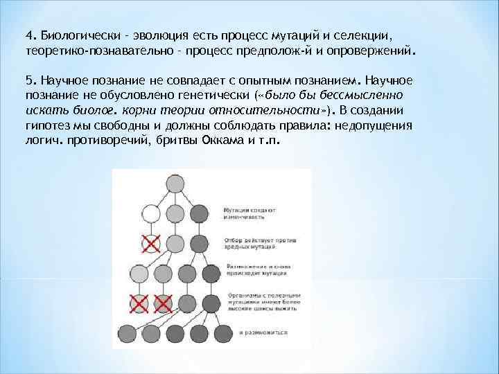 4. Биологически – эволюция есть процесс мутаций и селекции, теоретико-познавательно – процесс предполож-й и
