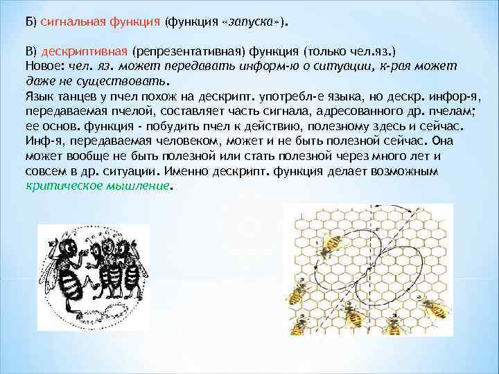 Б) сигнальная функция (функция «запуска» ). В) дескриптивная (репрезентативная) функция (только чел. яз. )