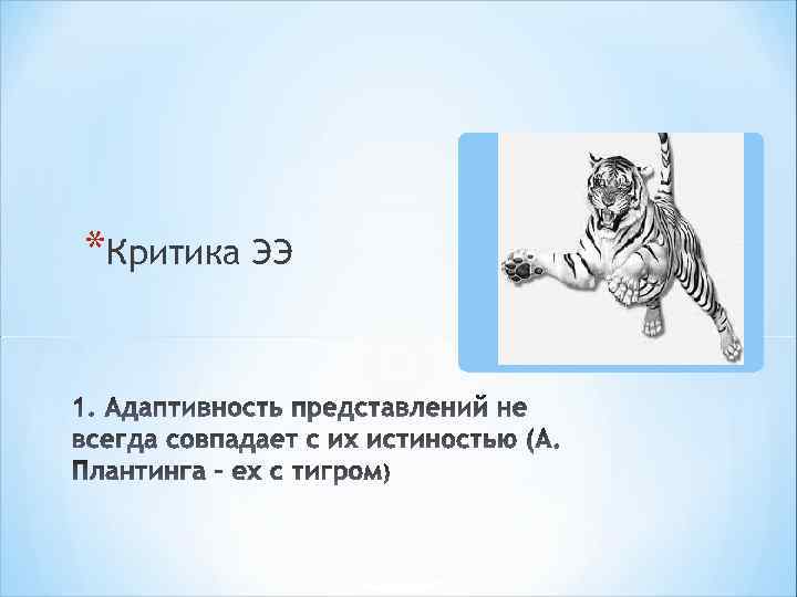 *Критика ЭЭ 