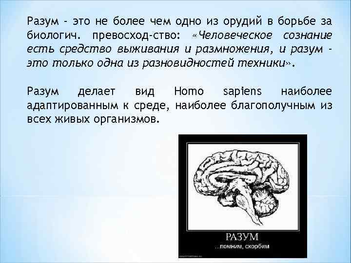 Разум - это не более чем одно из орудий в борьбе за биологич. превосход-ство:
