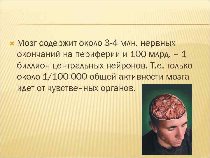  Мозг содержит около 3 -4 млн. нервных окончаний на периферии и 100 млрд.