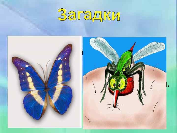 На капусті я Ні Хто над інами риба, ні рак, ні родився звір, ні