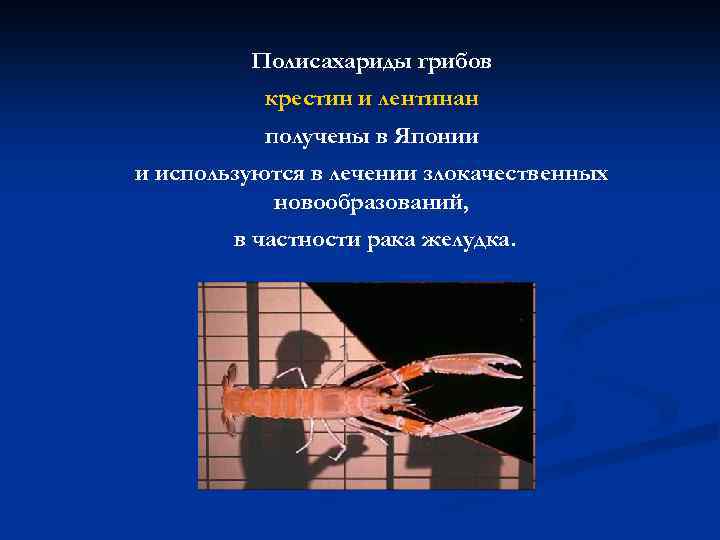 Полисахариды грибов крестин и лентинан получены в Японии и используются в лечении злокачественных новообразований,