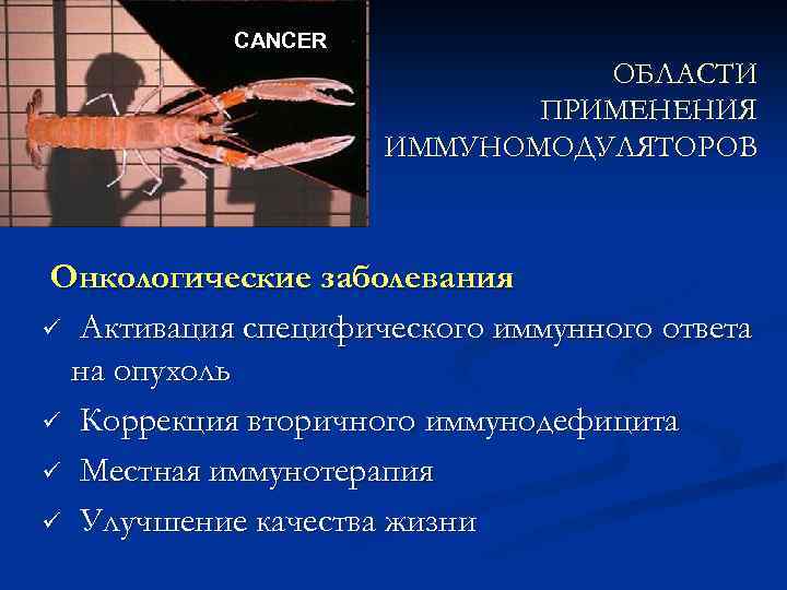 CANCER ОБЛАСТИ ПРИМЕНЕНИЯ ИММУНОМОДУЛЯТОРОВ Онкологические заболевания ü Активация специфического иммунного ответа на опухоль ü