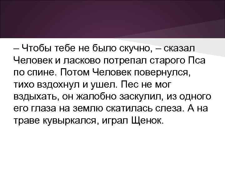 – Чтобы тебе не было скучно, – сказал Человек и ласково потрепал старого Пса