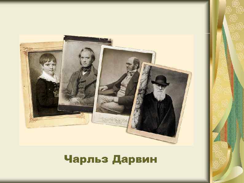 Чарльз Дарвин 