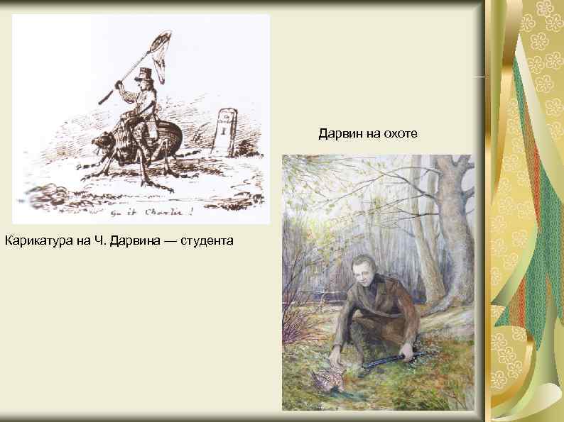 Дарвин на охоте Карикатура на Ч. Дарвина — студента 