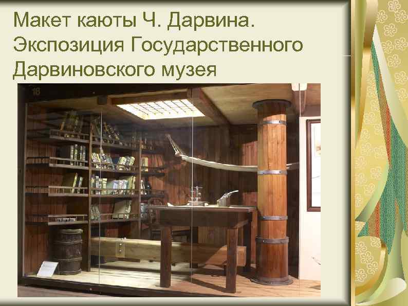 Макет каюты Ч. Дарвина. Экспозиция Государственного Дарвиновского музея 