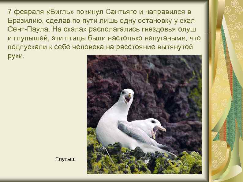 7 февраля «Бигль» покинул Сантьяго и направился в Бразилию, сделав по пути лишь одну