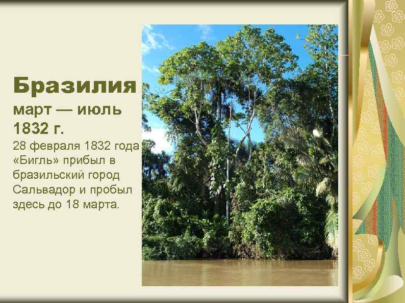 Бразилия март — июль 1832 г. 28 февраля 1832 года «Бигль» прибыл в бразильский