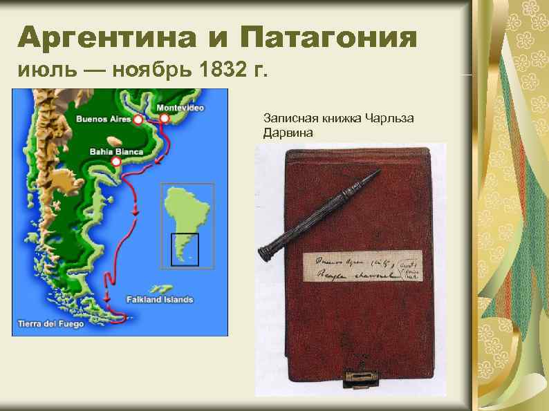 Аргентина и Патагония июль — ноябрь 1832 г. Записная книжка Чарльза Дарвина 