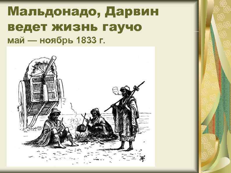 Мальдонадо, Дарвин ведет жизнь гаучо май — ноябрь 1833 г. 