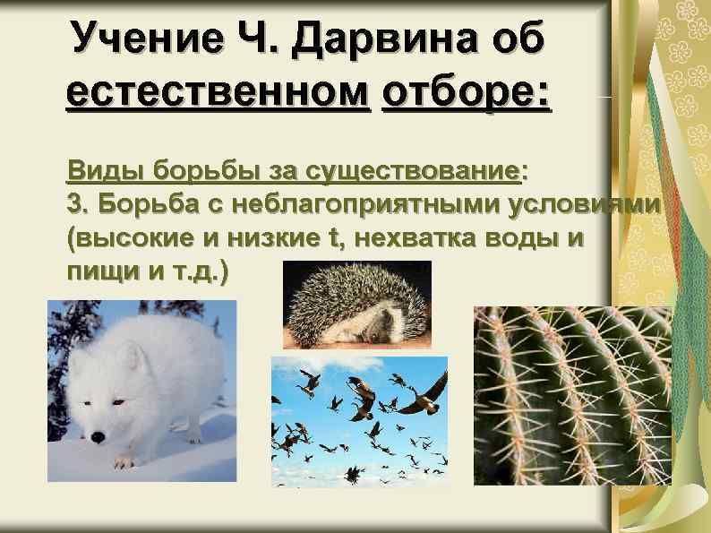 Учение Ч. Дарвина об естественном отборе: Виды борьбы за существование: 3. Борьба с неблагоприятными