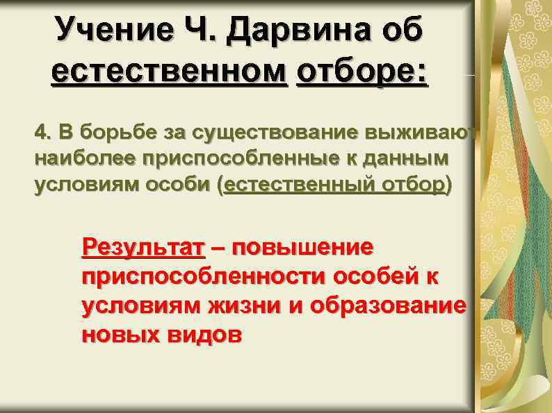 Учение Ч. Дарвина об естественном отборе: 4. В борьбе за существование выживают наиболее приспособленные