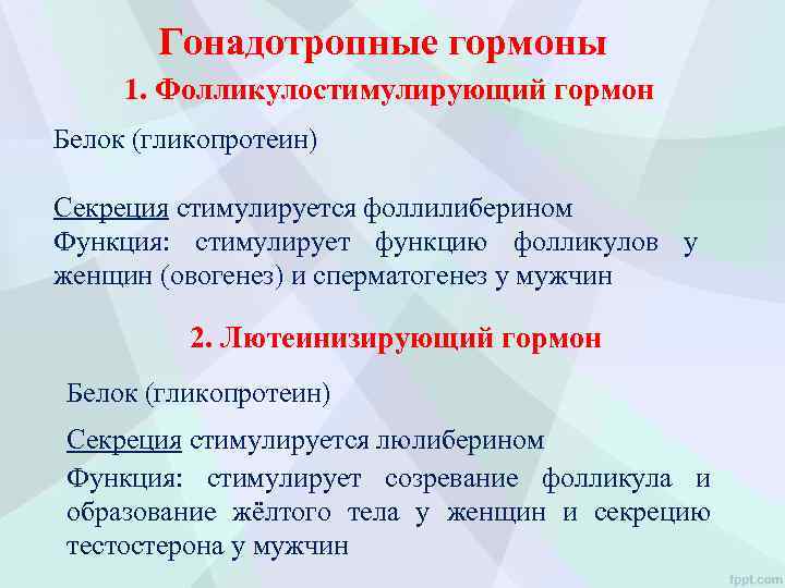 Гонадотропные гормоны 1. Фолликулостимулирующий гормон Белок (гликопротеин) Секреция стимулируется фоллилиберином Функция: стимулирует функцию фолликулов