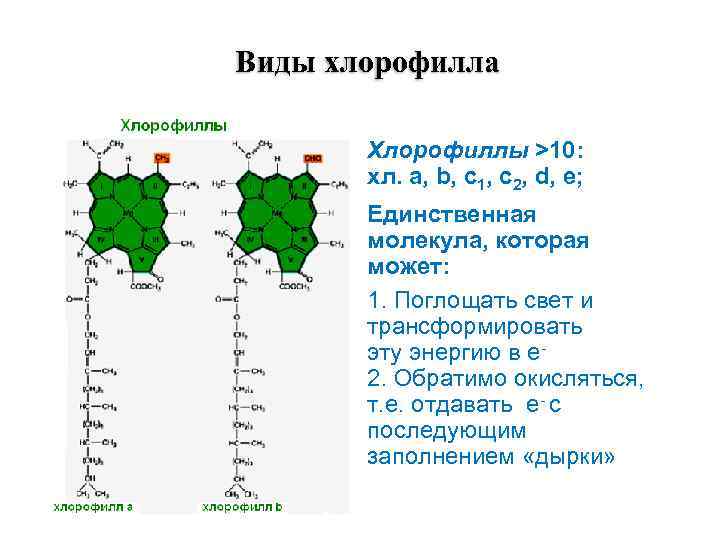 Пигмент хлорофилла содержится. Хлорофилл a и хлорофилл b. Типы хлорофилла. Е140 хлорофилл. Спектры хлорофилла.