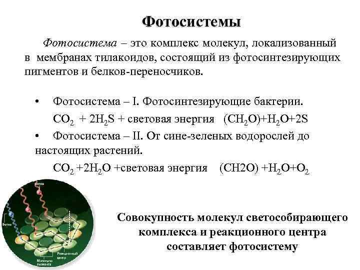 Процессы фотосистемы 1