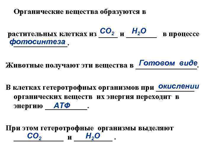 Органические вещества образуются в СО 2 Н 2 О растительных клетках из _____ и