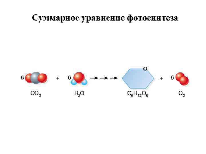 Суммарное уравнение фотосинтеза 