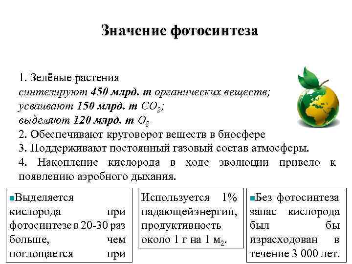 Зеленые растения синтезируют