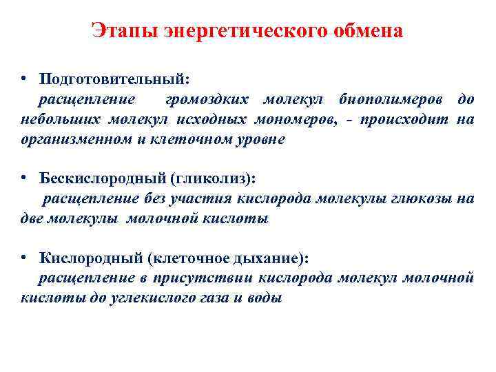 Этапы энергетического обмена • Подготовительный: расщепление громоздких молекул биополимеров до небольших молекул исходных мономеров,